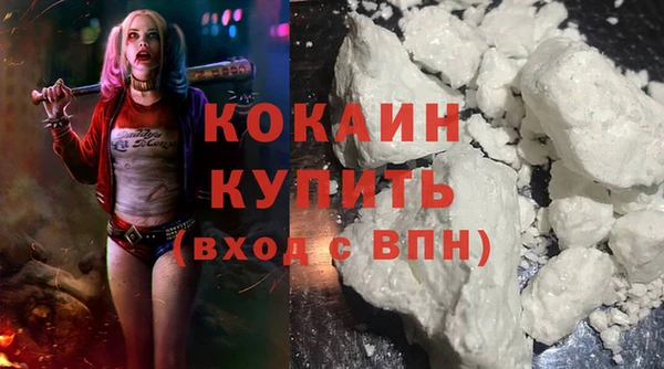тгк Алзамай