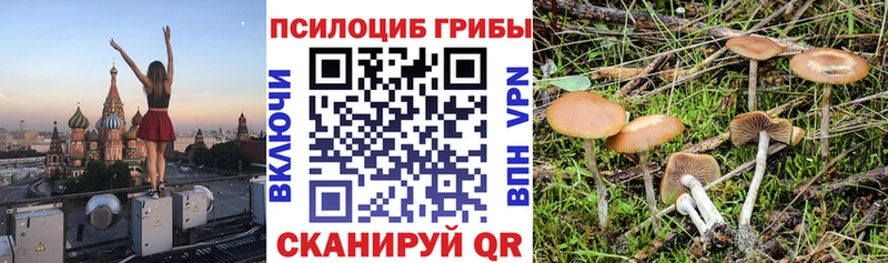 Галлюциногенные грибы мухоморы  blacksprut онион  мориарти какой сайт  где купить наркотик  Пикалёво 