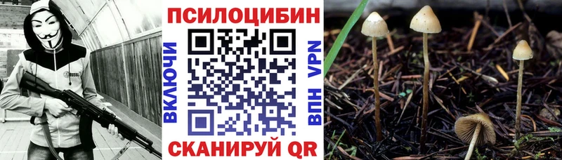 Галлюциногенные грибы Magic Shrooms Пикалёво